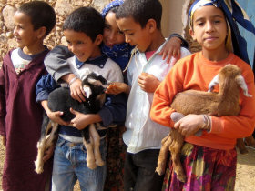 Camels & Kasbahs family holiday to Morocco